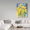 Trademark Fine Art Annelein Beukenkamp 'Daffodil Delight' Canvas Art, 35x47 ALI38242-C3547GG